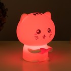 Фигурка светящаяся RISALUX «Котенок», LED-ночник, мякиш, от USB, АКБ, 12×10×16.3 см 7860252 - фото 2791159