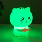 Фигурка светящаяся RISALUX «Котенок», LED-ночник, мякиш, от USB, АКБ, 12×10×16.3 см 7860252 - фото 2791161