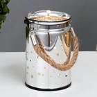 Ночник "Ночная сказка"  LED от батареек 3ААА серебро 8х8х12 см RISALUX - фото 21789039