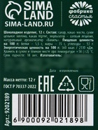 Шоколад молочный «Желаю ЗП» с предсказанием, 12 г  (артикул 9202189)  большой выбор товаров оптом и в розницу по низким ценам с доставкой