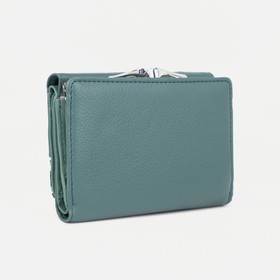 

Кошелёк на магнитах, цвет зелёный