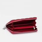 Кошелёк женский на молнии, цвет красный - фото 21789654