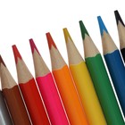 Карандаши 10 цветов, деревянные трехгранные - Фото 3