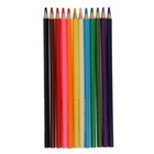 Карандаши цветные «Каляка-Маляка. ПРЕМИУМ», 12 цветов, супермягкие, утолщённый стержень, трёхгранный корпус - Фото 5