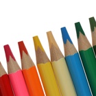 Карандаши цветные «Каляка-Маляка. ПРЕМИУМ», 12 цветов, супермягкие, утолщённый стержень, трёхгранный корпус - Фото 6