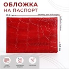 Обложка для паспорта, цвет красный - фото 321591126