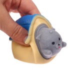 Антистресс сквиш мялка «Умопсённое настроение», в шоубоксе, МИКС - Фото 6