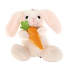 Мягкая игрушка «Кролик с морковкой», цвет белый - фото 108678876