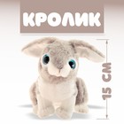 Мягкая игрушка «Кролик» - фото 684912