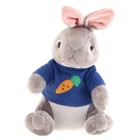 Мягкая игрушка «Кролик в кофте» - фото 319074022