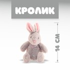 Мягкая игрушка «Кролик» - фото 684918