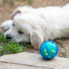 Мяч для собак "Двойное удовольствие", TPR+войлочный мяч, 7,6 см - фото 7708996