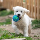 Мяч для собак "Двойное удовольствие", TPR+войлочный мяч, 7,6 см - фото 7708997
