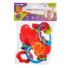 Погремушка «Африка», от 3 мес., 3 шт. - Фото 7