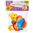 Погремушка «Африка», 2 шт., от 3 мес. - Фото 6