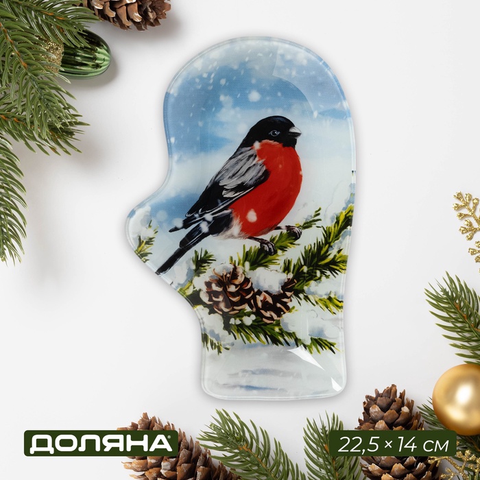 Блюдо новогоднее сервировочное Доляна «Рукавица. Снегирь», 22.5×14 см, стекло - Фото 1