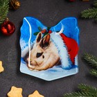Блюдо стеклянное сервировочное Доляна «Подарок. Кролик в шапке», 15,1×17,3 см - Фото 1
