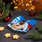 Блюдо стеклянное сервировочное Доляна «Подарок. Кролик в шапке», 15,1×17,3 см - Фото 2