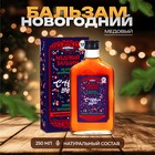Новогодний медовый бальзам алтайский Иммуно-витаминный, 250 мл - Фото 1