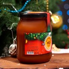 Новогодний мёд Алтайский Гречишный Vitamuno, шарик, 1000 г - Фото 2