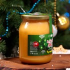 Новогодний мёд Алтайский Разнотравье Vitamuno, ветка, 1000 г - Фото 2