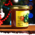 Новогодний мёд Алтайский Разнотравье Vitamuno, ветка, 200 г - Фото 2