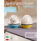 Набор для специй "Яркий", керамика, синий, желтый, 2 предмета, 100 мл, Иран 9298545 - фото 10007635