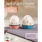 Набор для специй "Яркий", керамика, розовый, синий, 2 предмета, 100 мл, Иран 9298546 - фото 10734951