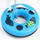 Игрушка для кошек "Загадочный круг - Рыбки", мышь на пружине и шарик, 23 х7 см, голубая/серая - Фото 2