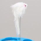 Игрушка для кошек "Загадочный круг - Рыбки", мышь на пружине и шарик, 23 х7 см, голубая/серая - фото 8033743