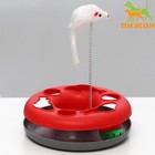 Игрушка для кошек "Загадочный круг - Рыбки", мышь на пружине и шарик, 23х7 см,красная/серая - фото 10008066