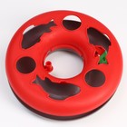 Игрушка для кошек "Загадочный круг - Рыбки", мышь на пружине и шарик, 23х7 см,красная/серая - фото 8033749