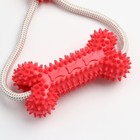 Игрушка для собак "Кость на присоске", 40 см, красная - Фото 5