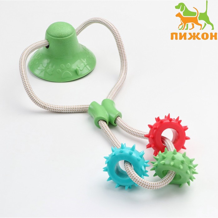 Игрушка для собак "Кольца с шипами на присоске", 40 см, зелёная/голубая/красная - Фото 1