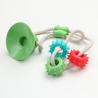 Игрушка для собак "Кольца с шипами на присоске", 40 см, зелёная/голубая/красная - фото 8033763
