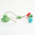 Игрушка для собак "Кольца с шипами на присоске", 40 см, зелёная/голубая/красная - фото 8033765