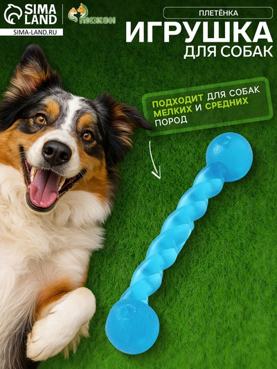 Игрушка для собак малая «Плетёнка»,19 см, каучук, синяя