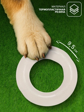 Игрушка для собак «Кольцо», светящаяся в темноте, 9.5 см