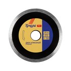 Диск алмазный отрезной ТУНДРА ПРОФИ, повышенный ресурс, сплошной, мокрый рез, 125×22 мм - Фото 1