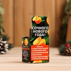 Масло для бани и сауны "Сочного нового года!" аромат апельсин, 10 мл - Фото 4