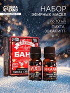 Набор эфирных масел «Хозяин бани», в подарочной коробке, пихта, эвкалипт, 2 шт. по 10 мл - Фото 1