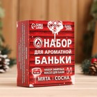 Набор 2 эфирных масла 10 мл "Для ароматной баньки" мята, сосна - Фото 3
