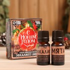 Набор эфирных масел 2 шт по 10 мл "С Новым Годом" эвкалипт, мята - Фото 1