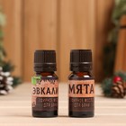 Набор эфирных масел 2 шт по 10 мл "С Новым Годом" эвкалипт, мята - Фото 2