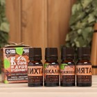 Набор эфирных масел 10 мл «В бане и душа отдыхает» пихта, эвкалипт, можжевельник, мята - Фото 1