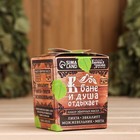 Набор эфирных масел 10 мл «В бане и душа отдыхает» пихта, эвкалипт, можжевельник, мята - Фото 3