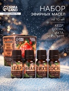 Новогодний набор эфирных масел «С Новым Годом!», в подарочной коробке, пихта, эвкалипт, кедр, сосна, 4 шт. по 10 мл - Фото 1