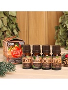 Новогодний набор эфирных масел «С Новым Годом!», в подарочной коробке, пихта, эвкалипт, кедр, сосна, 4 шт. по 10 мл - Фото 2
