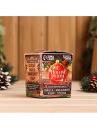 Новогодний набор эфирных масел «С Новым Годом!», в подарочной коробке, пихта, эвкалипт, кедр, сосна, 4 шт. по 10 мл - Фото 4