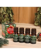 Новогодний набор эфирных масел «Ароматной баньки», в подарочной коробке, апельсин, кедр, пихта, можжевельник, 4 шт. по 10 мл - Фото 2